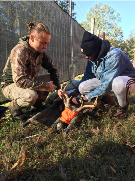 College of Forest Resources